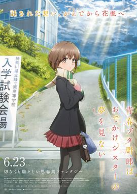 91岛国