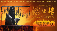 亚洲视频在线观看免费视频