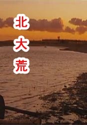 91亚洲精品国产第一区