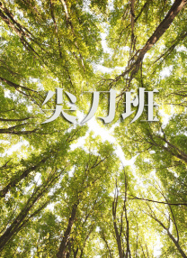 久久久久久久久网站