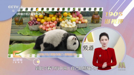 青青青国产依人在在线观看高